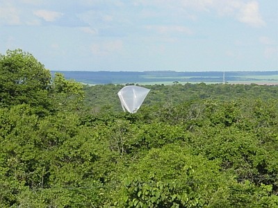 Auxiliary balloon above the tree tops