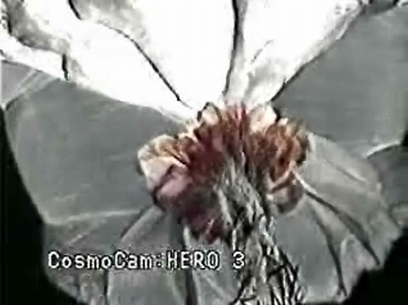Image of the moment of the separation. The flower like pattern bellow the balloon is the opening parachute