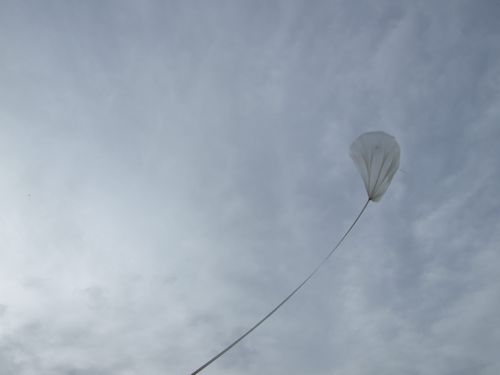 After release, the balloon still with the collar attached rise slowly (Image Courtesy: Eric Bellm)