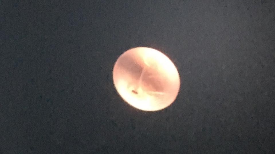The balloon through a telescope at sunset above Sioux Falls SD (image: Barry Powell)