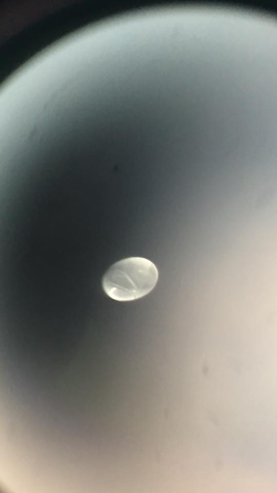 Image of the balloon taken by Barry Powell near Sioux Falls
